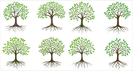 Abstract colorful tree with roots, Set of tree with green leaves and roots, Tree icon illustration, Green tree with roots vector illustration
