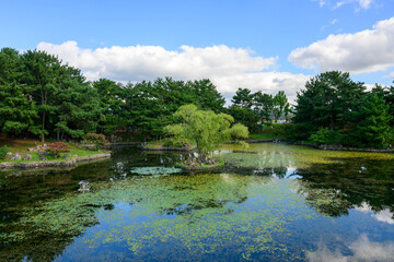 Scenery with traditional Korean palaces and ponds (Donggung Palace and Wolji Pond, Gyeongju)