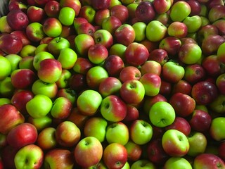 How bout them apples?