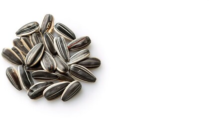 Striped black and white sunflower seed -Helianthus annuus - There are three types of commonly used sunflower seeds: linoleic (most common), high oleic, and sunflower oil seed. Isolated on white