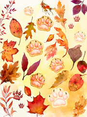 Fototapeta premium Autumn Leaves with Paw Prints