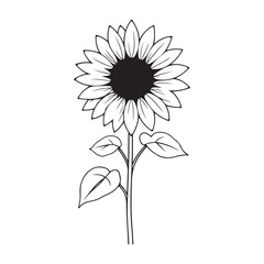 Sunflower print vector illustration, Sunflower icon. Vector illustration. Isolated. Flat design.