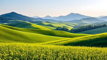 A vast landscape of undulating green hills with a field of blooming yellow flowers, encircled by soft mountains creating a serene atmosphere. Real Beauty Landscape Concept