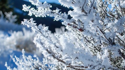 Frozen Branches in a Winter Wonderland