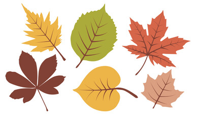 Autumn leaves set isolated on white. Vector illustration EPS 10