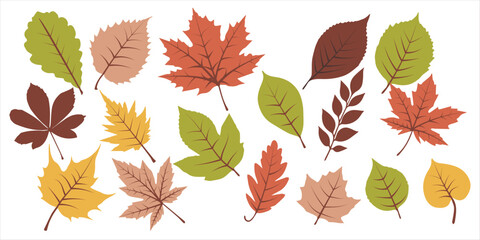 Autumn leaves set isolated on white. Vector illustration EPS 10
