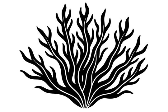 recommend clip art: seaweed  silhouette icon style white background