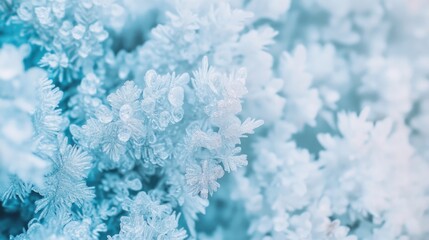 Crystals: A Delicate Beauty