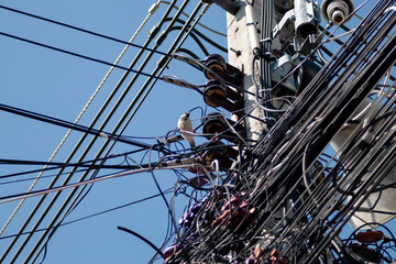 Wiring and bird on electric poles in Thailand