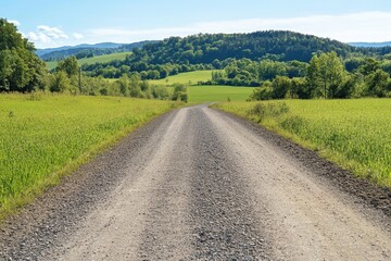 Meadow beside gravel road in countryside