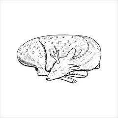 Sleeping deer. Hand drawn vector illustration