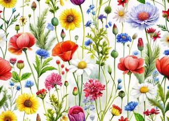 Fototapeta premium A seamless pattern featuring summer meadow and poppy flowers on a white background, perfect for vibrant design projects, adding a touch of nature's beauty.
