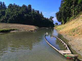 the river in the forest