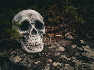 Halloween Skull, Mystery. Tropical background. Spooky time.