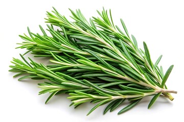 Fototapeta premium Fresh green rosemary sprigs
