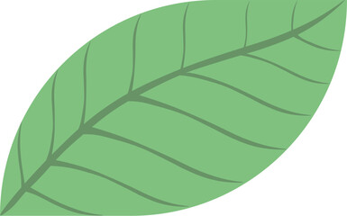 シンプルな葉のイラスト