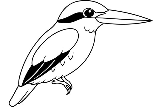 recommend clip art: kingfisher line art vector art illustration 