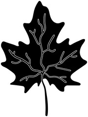 thanksgiving illustration autumn silhouette fall logo maple icon october outline thankful grateful flowers leaves leaf pumpkin nature harvest foliage shape kids vector graphic background