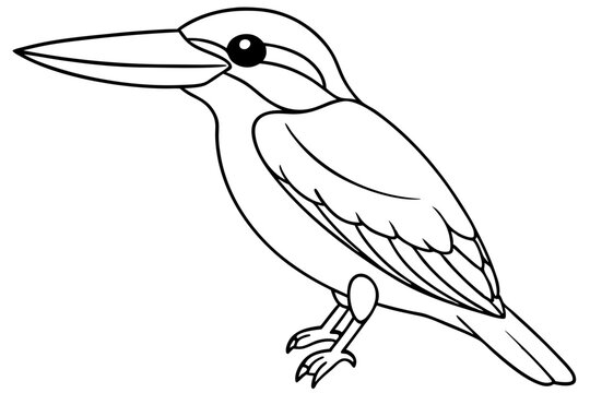 recommend clip art: kingfisher line art vector art illustration 
