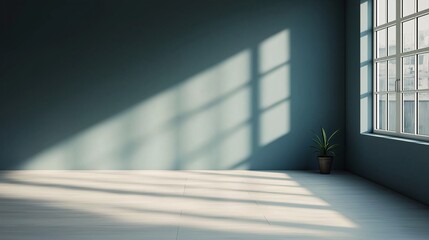 Obraz premium Minimalist Interior with Natural Light and Green Plant