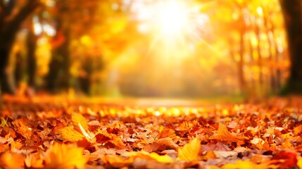 Autumn forest path surrounded by vibrant fallen leaves, inviting serenity and the beauty of seasonal change.