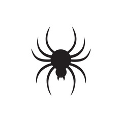 Black spider silhouette isolated on white background.