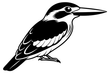 Cute kingfisher Bird halcyon senegalensis salute vector art illustration