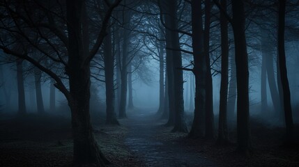 A misty forest path shrouded in fog, surrounded by tall, dark trees creating an eerie, mysterious atmosphere.