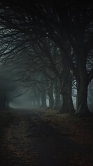A fog-shrouded forest path lined with dark, twisted trees, creating a mysterious and eerie atmosphere under the dim, muted light.