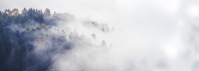 Autumn forest in fog, forested hill, panoramic view, open space