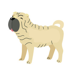 Shar pei icon clipart avatar logotype isolated illustration