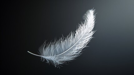 A single white feather floating in the air against a pitch-black background, its delicate details sharply contrasted with the dark void. 8k UHD, suitable for high-quality printing or digital 