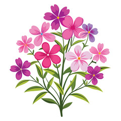 Floral Bunch with Creeping Phlox Vector Illustration on White Background Botanical Plant Design