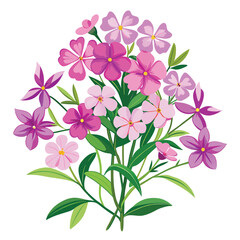 Floral Bunch with Creeping Phlox Vector Illustration on White Background Botanical Plant Design