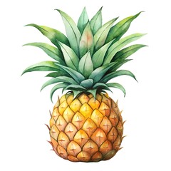 Fototapeta premium Watercolor hand drawn pineapple with leaves stems on white background
