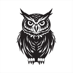 owl on white background,owl, bird, cartoon, animal, illustration, vector, cute, character, nature, art, design, drawing, wing, halloween, beak, feather, eyes, branch, fun, funny, wise, wild, icon,