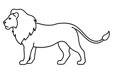 Lion silhouette on white background
