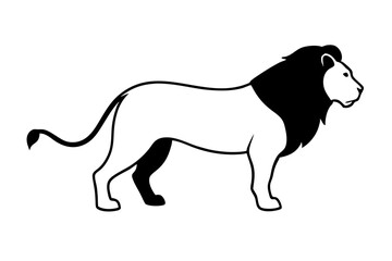 Lion on white background