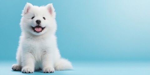 Fototapeta premium Adorable white puppy with a happy expression sitting on a blue background.