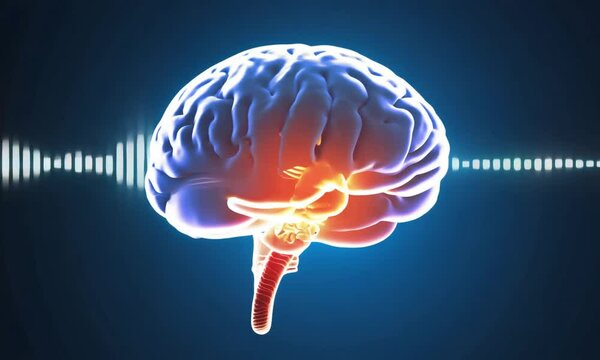 Human head and brain anatomy with various types of waveforms produced by brain activity on a dark background