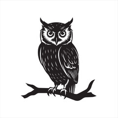 owl vector illustration