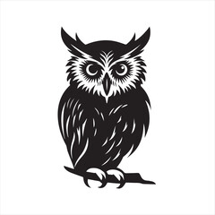 owl vector illustration
