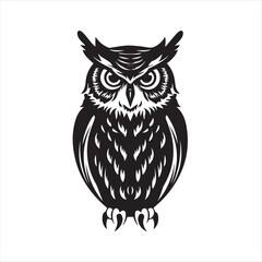owl vector illustration