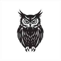 owl vector illustration