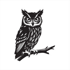 owl vector illustration