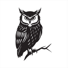 owl vector illustration