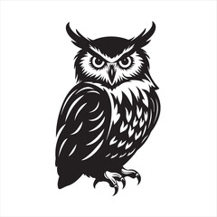 owl vector illustration
