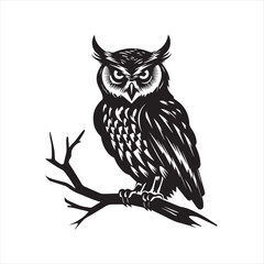 owl vector illustration