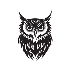 owl vector illustration