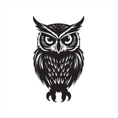 owl vector illustration